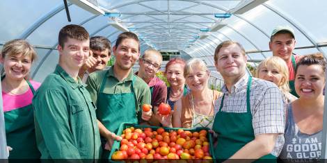 Greenhouse Farms in the Vinnytsia Region: Young People with Disabilities Grow Flowers, Greens, Spices, Vegetables, and Seedlings