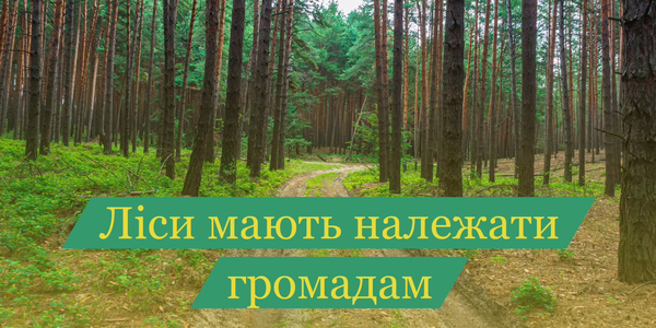 Ліси мають належати громадам: позиція асоціації громад стосовно реформи лісової галузі

