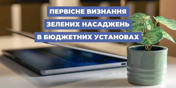 Первісне визнання зелених насаджень в бюджетних установах: рекомендації експертів