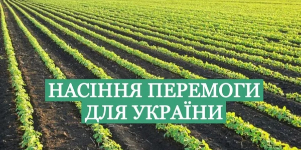 Домогосподарства з постраждалих від війни громад безкоштовно отримають насіння овочів для посівної: як подати заявку

