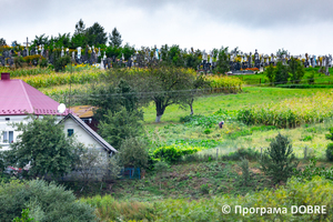 Thumb %d0%9a%d0%be%d0%bd%d1%82%d0%b0%d0%ba%d1%82%d0%bd%d0%b8%d0%b9 %d0%b7%d0%be%d0%be%d0%bf%d0%b0%d1%80%d0%ba %d0%bd%d0%b0 %d0%bf%d0%be%d0%b4%d0%b2%d1%96%d1%80 %d1%97 %d0%92%d0%b0%d1%81%d0%b8%d0%bb%d1%8f %d0%9e%d0%bb%d1%96%d0%b9%d0%bd%d0%b8%d0%ba%d0%b0  %d1%81%d0%b5%d0%bb%d0%be %d0%9a%d0%b0%d0%b1%d0%b0%d1%80%d1%96%d0%b2%d0%ba%d0%b0  %d0%97%d0%b1%d0%be%d1%80%d1%96%d0%b2%d1%81%d1%8c%d0%ba%d0%b0 %d0%b3%d1%80%d0%be%d0%bc%d0%b0%d0%b4%d0%b8  31 