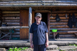 Вівчарство на полонині Луковиця, ДП Гринявський лісгосп