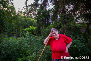 Хвойний парк, село Дослідне, Новоолександрівська громада